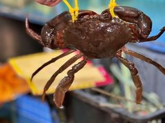 -三妹小龙虾·黄油蟹(华侨城总店)