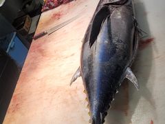 -海鮮寿司とれとれ市場