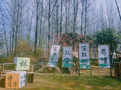 -林间山庄