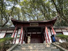 -上海佘山国家森林公园天马山园