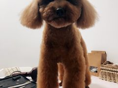 -紫光园·烤鸭(吕家营店)