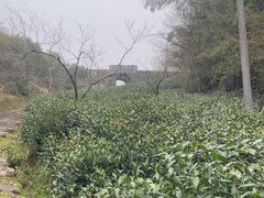 -仙霞关景区