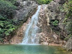 -南海湾森林生态园