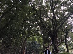 -中山公园儿童游乐场