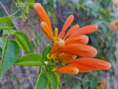 -三亚南山文化旅游区