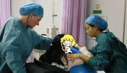 -玛丽亚妇产医院