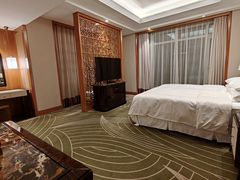-常州武进九洲喜来登酒店