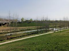 -洨河生态公园