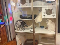 -老炮儿轰趴团建KTV桌游棋牌主题馆(五道口店（底商店))