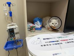 -御宝贝24h宠物医院·转诊中心·CT核磁血透中心(厦门总院)