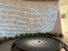 -宝盖头家居生活馆