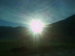 -新疆天山野生动物园