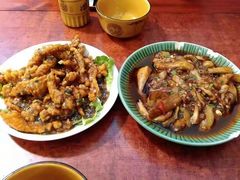 -西南交通大学(九里校区)