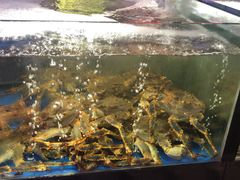 -蟹之国·精品蟹料理(极地店)