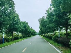 -南京枫彩漫城