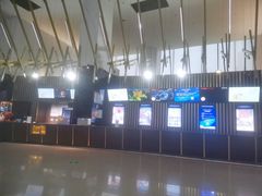 -金逸影城(武汉人信汇IMAX店)