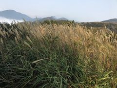 -大围山国家森林公园