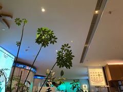 -桂满陇·杭州小馆(巴黎春天浦建店)