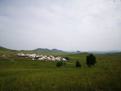 -乌兰布统草原