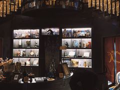 -雪灵魔法世界SHELLY’S TAROT(大良桂畔里店)
