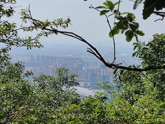 -杭州半山国家森林公园