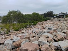 -宝安西湾红树林湿地公园