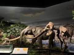 -湖南省地质博物馆