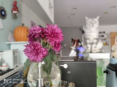 -平行世界·猫咖(首经贸店)