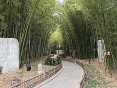 -凤城河风景区