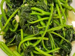 清炒苕尖-大隐隐于市私房菜(保和小区店)
