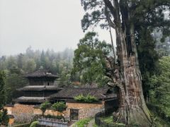 -楠溪江风景名胜区