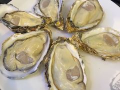 -千岛蚝高压锅生蚝·人参火锅(白云万达店)