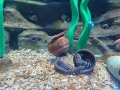 -石家庄市动物园