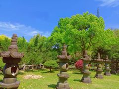 -大罗山风景区