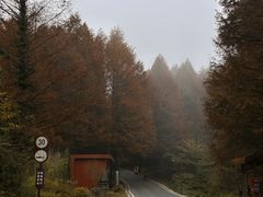 -山王坪喀斯特国家生态公园