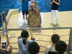 -泉城欧乐堡海洋极地世界