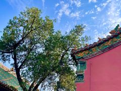 -药王庙(安国市)