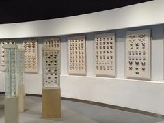 -陕西自然博物馆