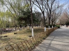 -丰台科技园生态主题公园