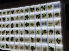 -广东中医药博物馆