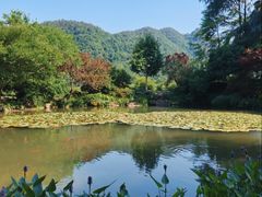 -中国茶叶博物馆(双峰馆区)