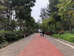 -狐尾山公园