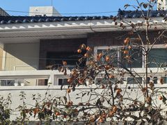 -宝健路步行街(Pedestrian Shopping Street)
