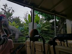 -大娘水饺(河海东路迪诺小镇店)