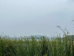 -渤公岛生态公园