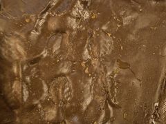 -升艾堂·经络·艾灸·气血(成山路店)