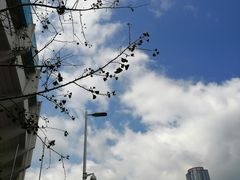 -广州保龄球馆(广州天河体育中心店)