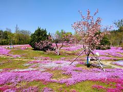 -棒棰岛宾馆景区
