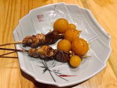 提灯-鳥禾(天津店)