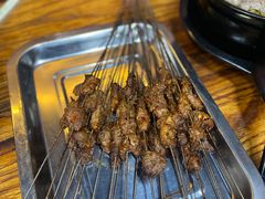 -清真·马峰烤肉(小学习北巷店)